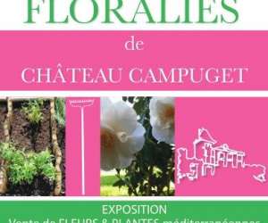 Chteau De Campuget