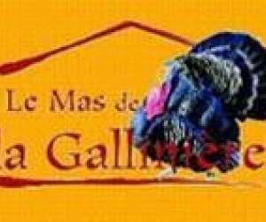 Mas De La Galliniere