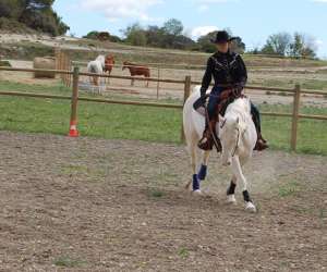 photo Western  horse centre equitation western Cruzy 13260