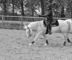 photo Western  horse centre equitation western Cruzy 13261