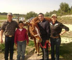 Western  Horse Centre Equitation Western