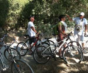 photo Bike camargue evasion Le Grau Du Roi 14477