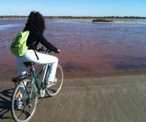 photo Bike camargue evasion Le Grau Du Roi 14482