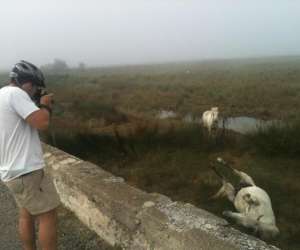 photo Bike camargue evasion Le Grau Du Roi 14483