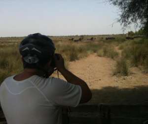 photo Bike camargue evasion Le Grau Du Roi 14484