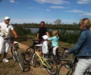 photo Bike camargue evasion Le Grau Du Roi 14485