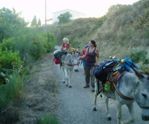 photo Association  eli - ane   - balade nature accompagnee d'nes btes Plaissan 13561