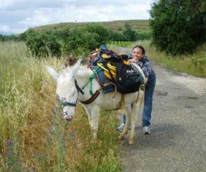 photo Association  eli - ane   - balade nature accompagnee d'nes btes Plaissan 13563