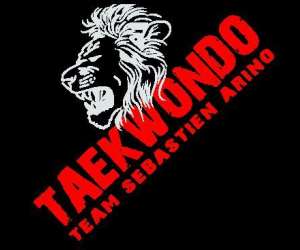 Taekwondo Et Hapkido, Self Dfense