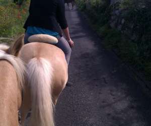 Centre Equestre Pleine Nature