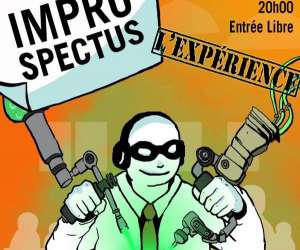 photo Troupe d'improvisation theatrale les improspectus Montpellier 17029
