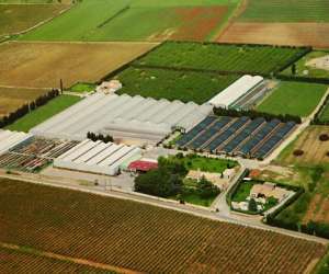 La  Serre  Aux  Fleurs  Horticulteur Producteur