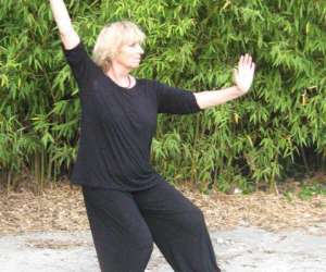 Qi Gong 34- Acadmie D