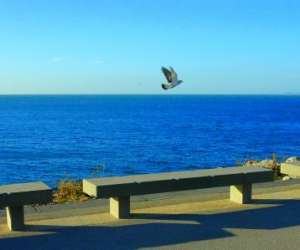 photo Visite de ste: visiter sete avec ste grand tour Sete 14207