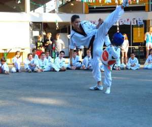 photo Tae kwon do body training La Grande Motte 14269