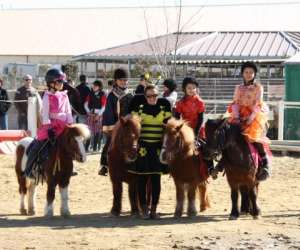 Poney Club   Ecuries Du  Relais