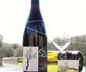 photo Clos de l'amandaie Aumelas 14593