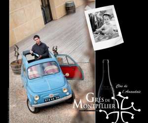 photo Clos de l'amandaie Aumelas 14598