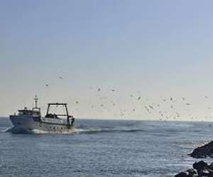 photo Restaurant les ondines Agde 14907