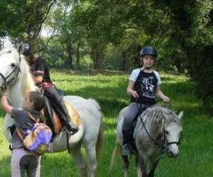 photo Poney club de st jean St Jean De Vedas 14833