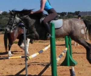 photo Poney club de st jean St Jean De Vedas 14834