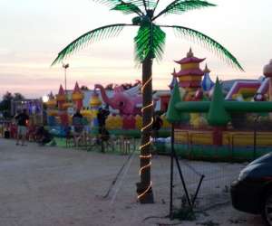 photo L ile aux enfants Torreilles 14928