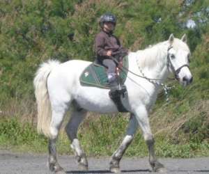 Poney Club De La Gardiole