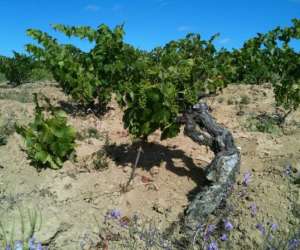 Kwinediscoveries Kwinediscoveries