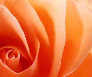 photo Yoga narbonne Narbonne 15165