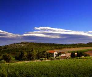 Château L'hospitalet Château L'hospitalet