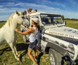 photo Camargue sauvage safari 4x4 Aigues Mortes 15342