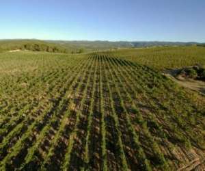 photo Chteau cabezac Bize Minervois 16456