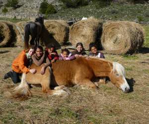 photo Centre equestre mini ranch de la clamoux Villeneuve Minervois 3183