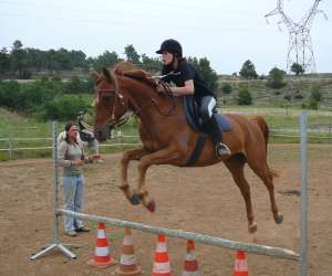 photo Centre equestre mini ranch de la clamoux Villeneuve Minervois 3185
