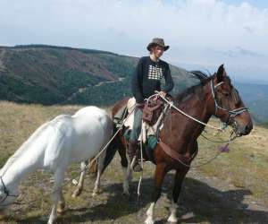 photo Centre equestre mini ranch de la clamoux Villeneuve Minervois 3186