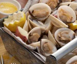 photo Ingril coquillages - poissons, coquillages et crustacs Frontignan 16591