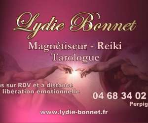 Matre Enseignante Reiki, Magntisme, Eft