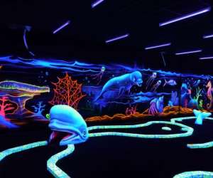photo Goolfy minigolf indoor pour enfants et adultes Montpellier 17217
