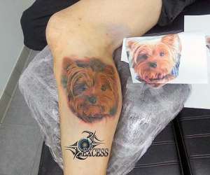 photo Excess tattoo et piercing Montpellier 17576