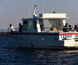 photo   bateau l'toile de thau lll Marseillan 17607