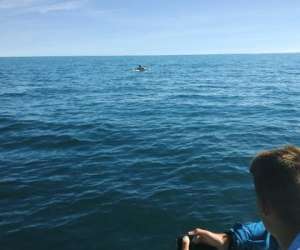 photo Catalunya pro fishing Canet En Roussillon 17902