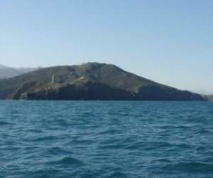 photo Catalunya pro fishing Canet En Roussillon 17904