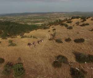 photo Equi-larzac La Vacquerie Et St Martin 18119