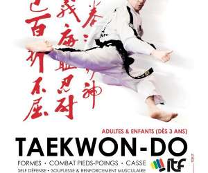 photo Taekwon-do itf nmes Nimes 18716