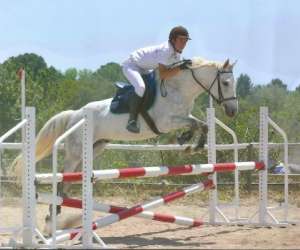 Centaure Equitation