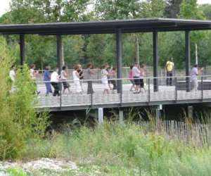 Tai Chi Energie Perpignan