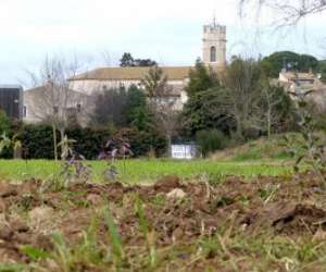 Atlas De La Biodiversit Communale De Cazouls D