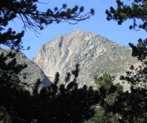 photo Randonne canigou Nefiach 19109