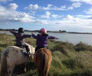 Poney Club Des Salines