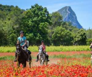 Horse Aventure